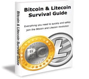 Bitcoin Survival Guide